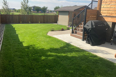 Lush lawn installed and maintained Regina