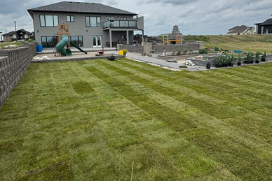 Lush turf installation project